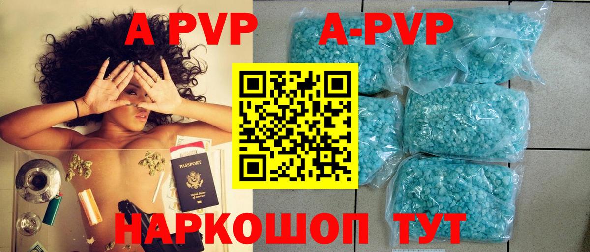 Alfa_PVP СК КРИС Саратов